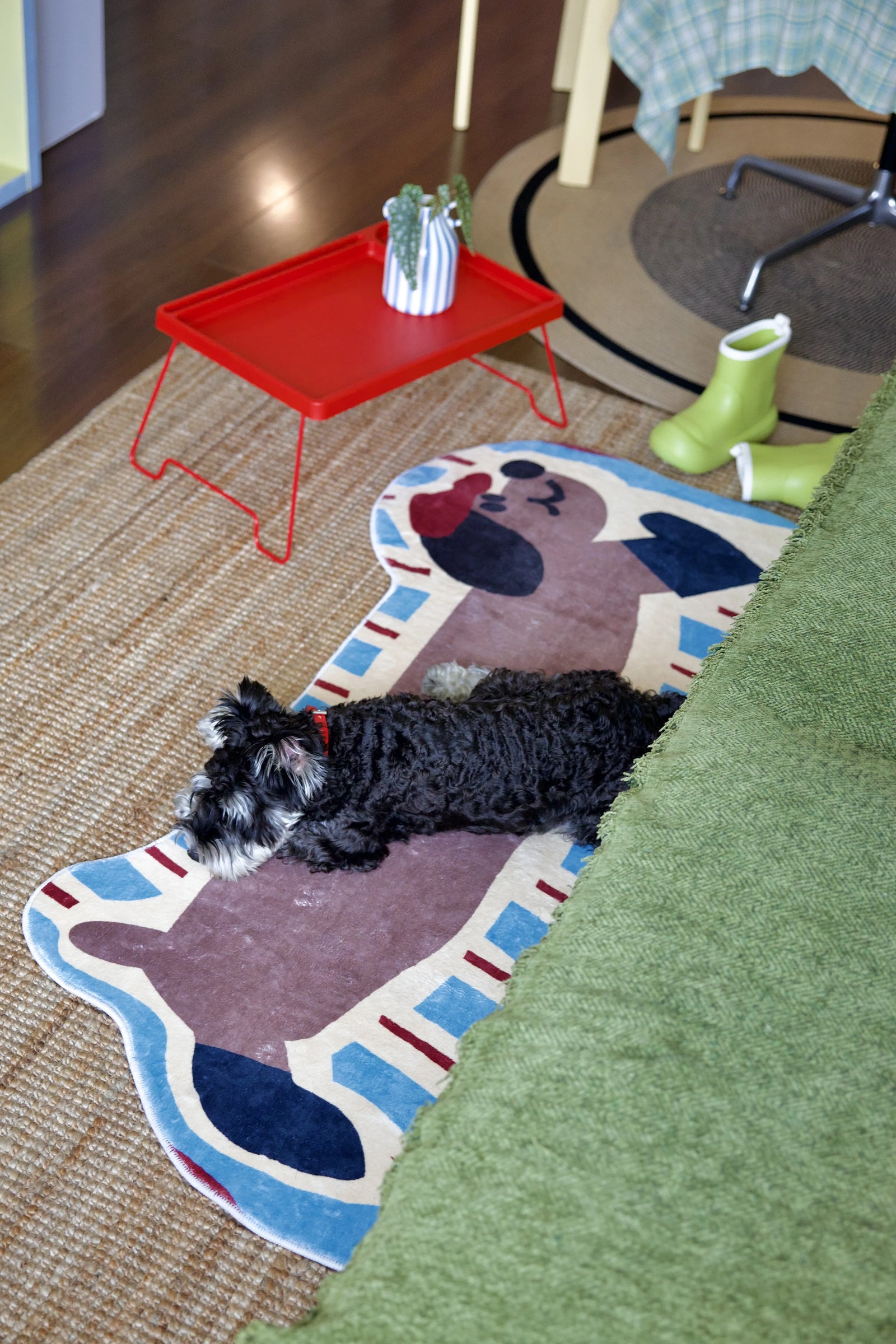 Can You Put a Rug on Carpet? Everything You Need to Know